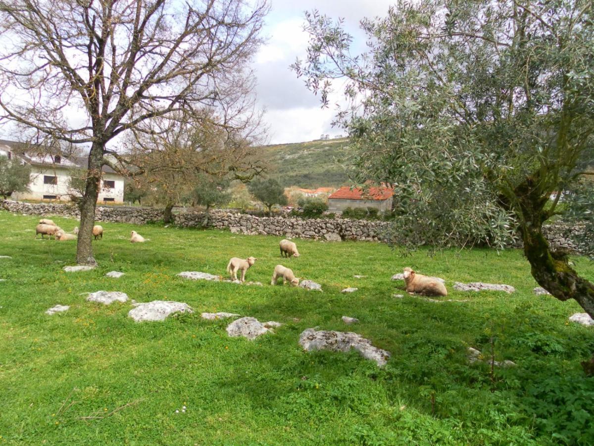 Retiro Da Avo Lidia - Turismo Rural Mendiga Екстер'єр фото